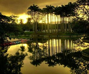 Enamorada