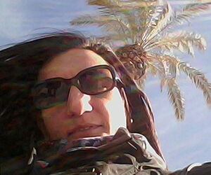 LetLet