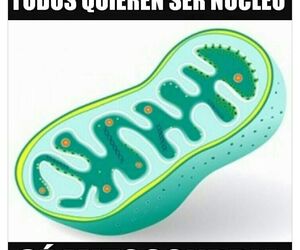 Pepa