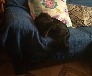 Cristina