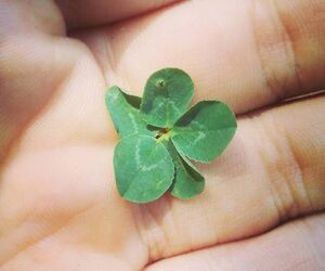 Aa