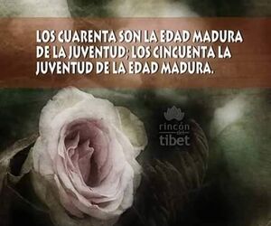 mariclara63