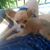 judit_irune 