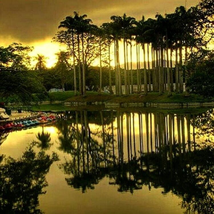 Enamorada   