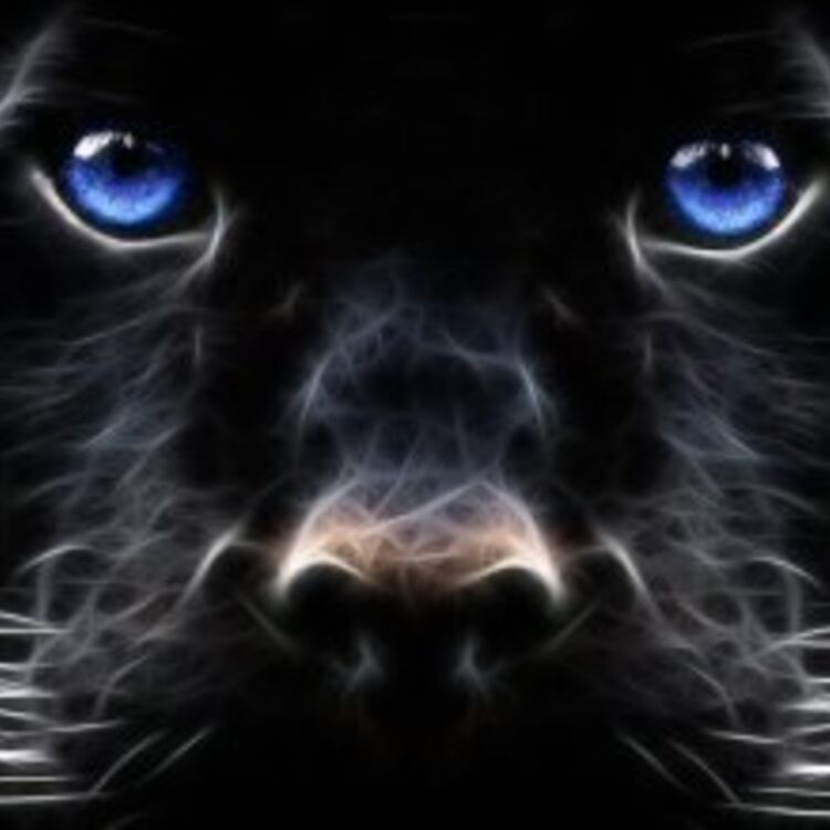 Phenix  