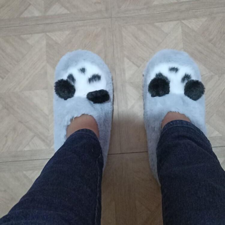 Fotosí­ntesis32
