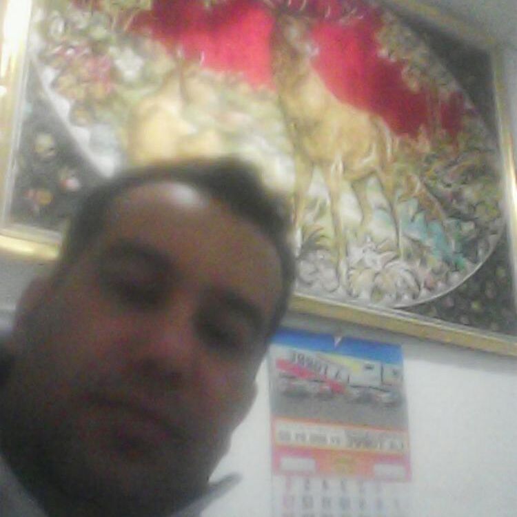 Tofi 