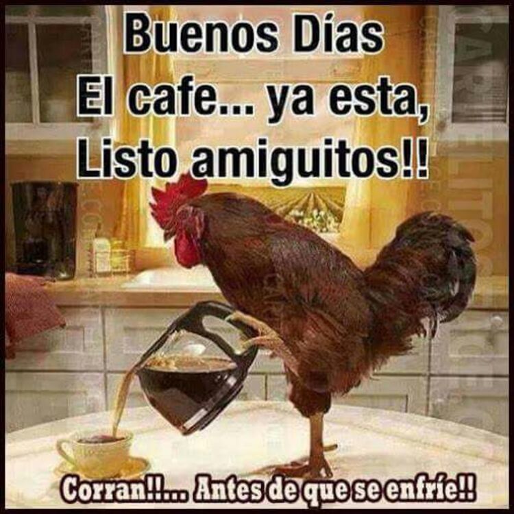 ZaraX 