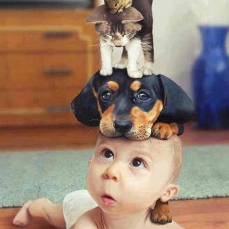 nerea_gomezbuendia@yahoo.es 