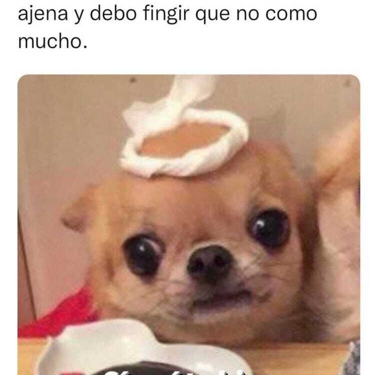 Alba