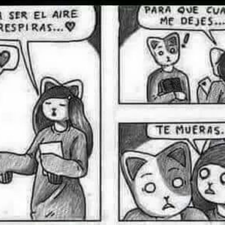 Maquixi 