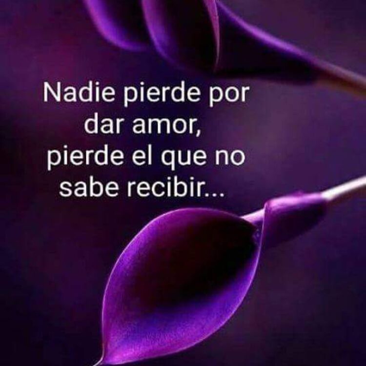 Ichel 