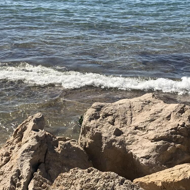 Aventurera  