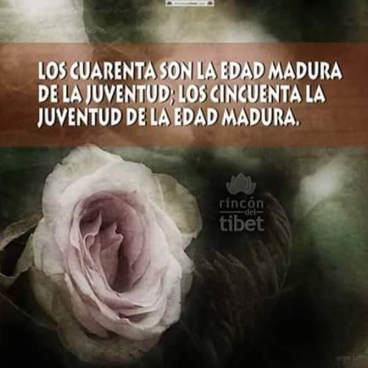 mariclara63 