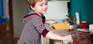 ¿Cómo hacer que mi hijo ayude en las tareas domésticas?