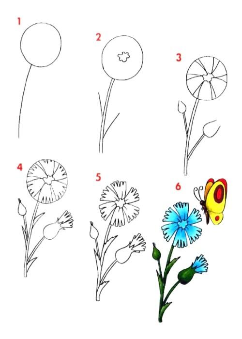 Dibujo flor para tu hijo